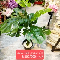 درختچه وارداتی|گل مصنوعی|فردیس, فردیس|دیوار