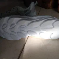 کفش 361|کیف، کفش، کمربند|شیراز, کلاهدوز|دیوار