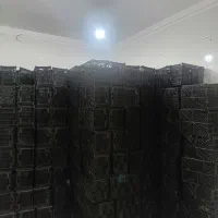 ۱۰۰۰سبد گوجه ۱۴ کیلویی