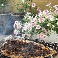 ترشی مغربی و سبزیهای  جنوبی|خوردنی و آشامیدنی|اصفهان, خواجو|دیوار