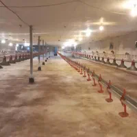 فروش مرغداری مکانیزه 20هزارتایی / جاده جیرده