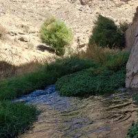 راهنمای گردشگری