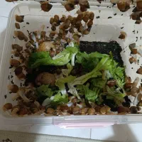 حلزون ۲الا۳ سانت  دونه ۱۰ بزرگ هم دونه ۶۰