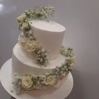 استخدام نیروی فروشندگی برای قنادی ولیعصر