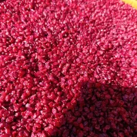 زرشک زیر تالاری و اناری