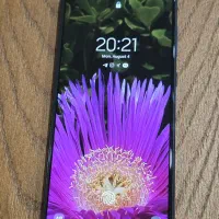گوشی Samsung A71|موبایل|تهران, نیروی هوایی (پیروزی)|دیوار