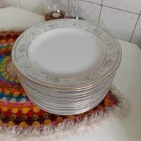 ۱۲ عدد پلو خوری