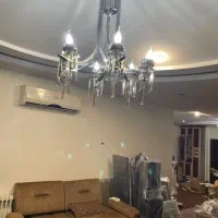 لوسترشش شاخه