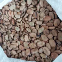 باقلا تمیز و پزا