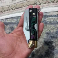 گیاه محلی خوراکی|کوهنوردی و کمپینگ|سنندج, |دیوار