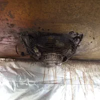 فود تراک ، فست فود سیار|کافی‌شاپ و رستوران|زرقان, |دیوار