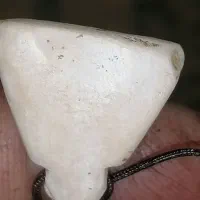 سنگ گبری|جواهرات|اهواز, زیتون کارمندی|دیوار