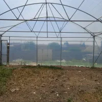 فروش-گلخانه
