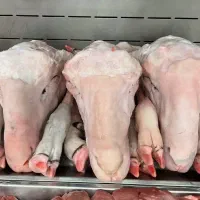 تمیزکردن کله پاچه و سیرابی