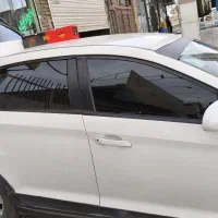 دودی زن ماهر