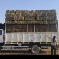 یونجه درجه یک خشک و یونجه علفی هم موجوده