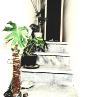 اجاره خانه زنبیل آباد|اجارهٔ خانه و ویلا|قم, زنبیل آباد|دیوار