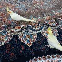 عروس