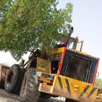 لودر استولاوا لهستانی