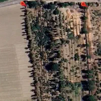 باغ-15000-متری-تیون