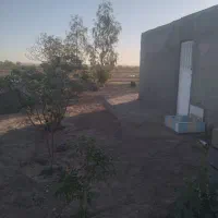 باغ پسته|فروش دفتر صنعتی، کشاورزی، تجاری|کویرات, |دیوار