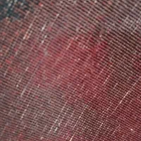 تندیس لیدی گودیوا|فرش|اصفهان, کوی ولی عصر|دیوار