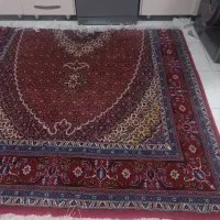 فرش ریزه ماهی بافت اردبیل|فرش|تهران, بهداشت|دیوار