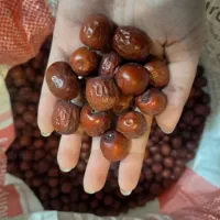 مستقیم از تولیدکننده عناب زرشک کشک مشتی و رشتهای|خوردنی و آشامیدنی|مشهد, نوید|دیوار