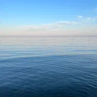 نیازمند یک خانم جهت همکاری در هتل  رستوران
