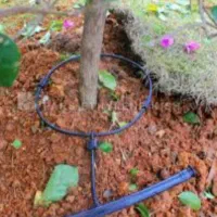 اجرای خدمات آبیاری قطره ای برای درختان