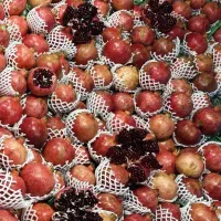 به تعدادی فروشنده دختر و پسر نیازمندیم