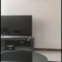 واحد شیک و مبله مالک|اجارهٔ کوتاهمدت آپارتمان و سوئیت|شاهینشهر, پاسداران|دیوار