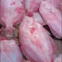 ماهی درجه یک