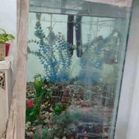 آکواریوم معاوضه با پرنده قفسی|ماهی|مشهد, امیریه|دیوار