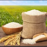 بهترین برنج ایرانی