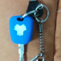 گم شده سوئیچ آبی رنگ