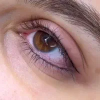 میکروبلیدینگ ابرو، تاتوی آرایشی صورت و بدن|خدمات آرایشگری و زیبایی|مشهد, بهاران|دیوار