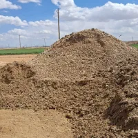 کود مرغی قفسی خشک پودری