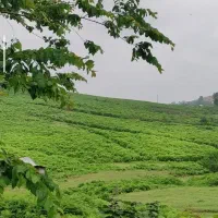تهاتر