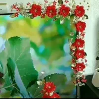 ریسه ی تیوی|صنایع دستی و سایر لوازم تزئینی|چابهار, |دیوار