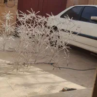 جوشکاری سیار ایرندگانی|خدمات پیشه و مهارت|ایرانشهر, |دیوار