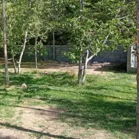 بم دهبکری خانه ساختمان۶۵متر