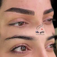 درمان تاتو قدیمی و میکروبلیدینگ و میکروپیگمنتیشن|خدمات آرایشگری و زیبایی|زاهدان, |دیوار