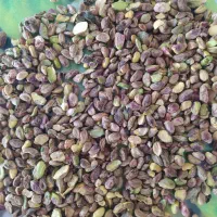 پسته ومغز|خوردنی و آشامیدنی|تربتحیدریه, باغ ملی|دیوار