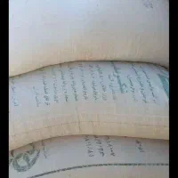 جو دیم تمیز