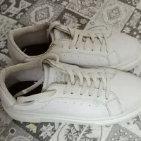 کتونی ونس اصلی چرم