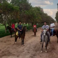 سوارکاری سالار باشگاه|خدمات آموزشی|برخوار, |دیوار