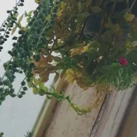 زمین-140-متری-چار-دیواری