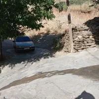 زمین شیو قرچیکان