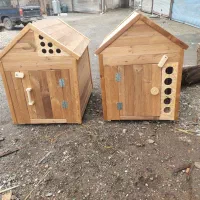 لانه سگ وگربه